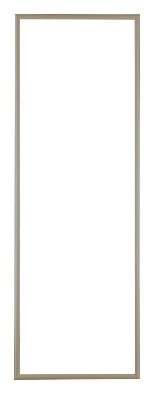 Austin Aluminium Bilderrahmen 20x60cm Champagner Vorne | Yourdecoration.at