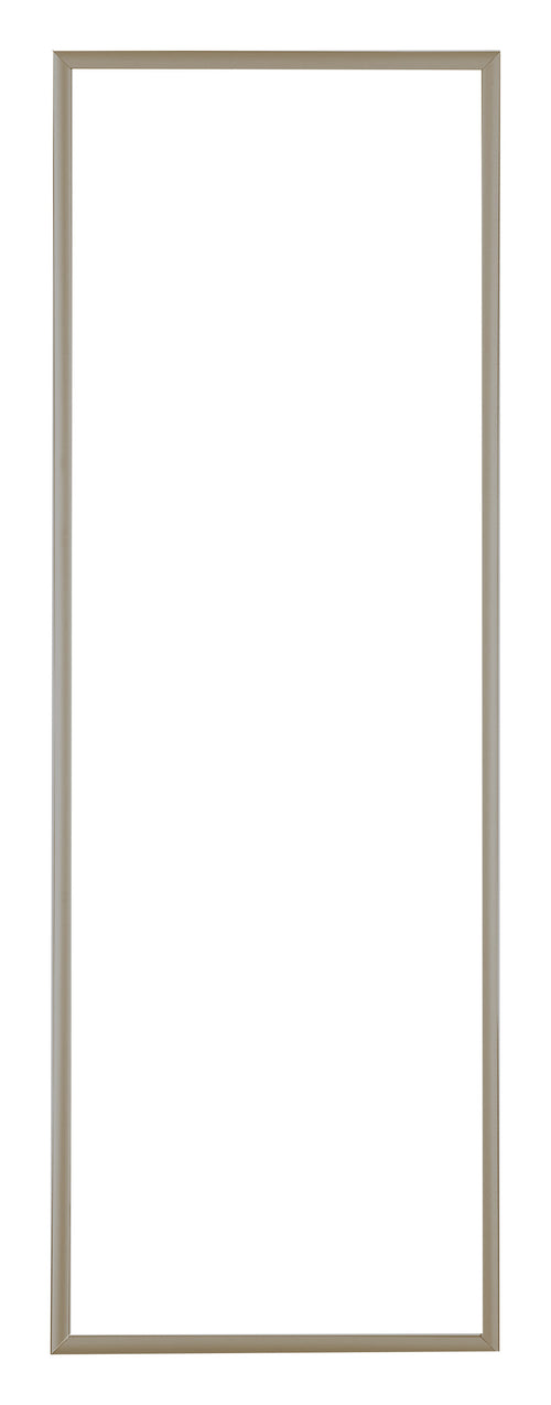 Austin Aluminium Bilderrahmen 20x60cm Champagner Vorne | Yourdecoration.at