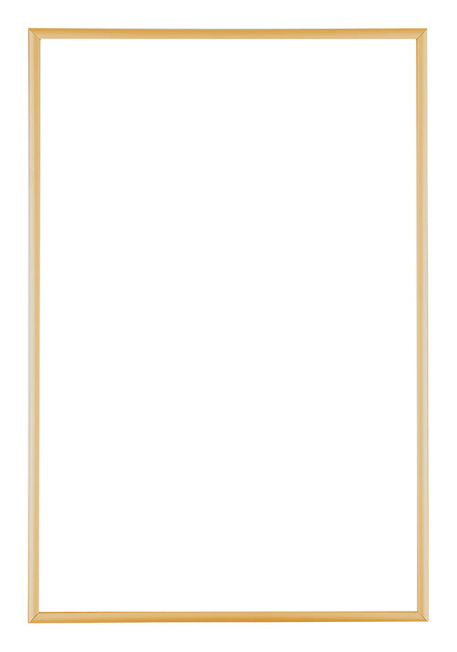 Austin Aluminium Bilderrahmen 61x91 5cm Gold Vintage Vorne | Yourdecoration.at