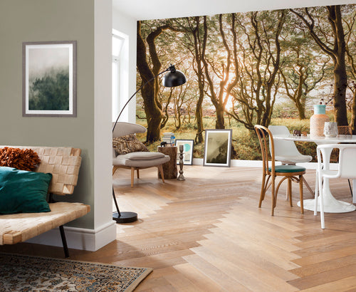 Komar Bold Birch Vlies Fototapete 400x250cm 4 bahnen interieur | Yourdecoration.at