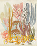 Komar Catchy Corals Vlies Fototapete 200x250cm 2 bahnen | Yourdecoration.at