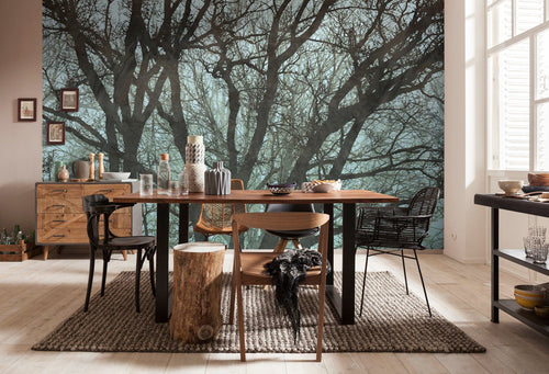 Komar Whispering Woods Vlies Fototapete 400x250cm 4 bahnen interieur | Yourdecoration.at