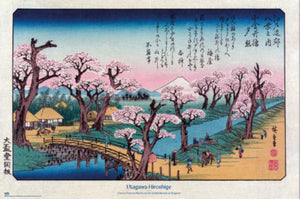 Poster Cherry Trees At Koganei Utagawa Hiroshige 61x91 5cm Grupo Erik GPE5930 | Yourdecoration.at