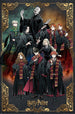 Poster Harry Potter Wizard Dynasty Characters 61x91 5cm PP35438 2 | Yourdecoration.at