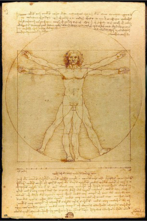 Poster Vitruvian Man 61x91 5cm Grupo Erik GPE5819 | Yourdecoration.at