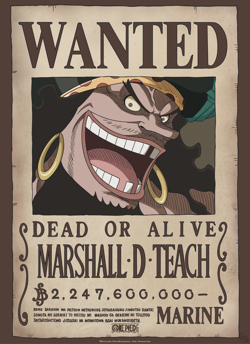 Abystyle Gbydco267 One Piece Wanted Blackbeard Poster 38x52cm | Yourdecoration.at