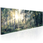 Artgeist Morning Magic Canvas Leinwandbilder | Yourdecoration.at