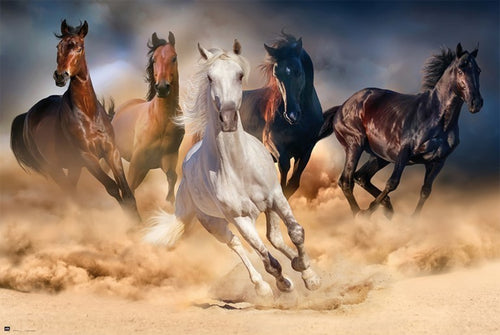 Grupo Erik GPE5031 Five Horses Poster 91,5X61cm | Yourdecoration.at