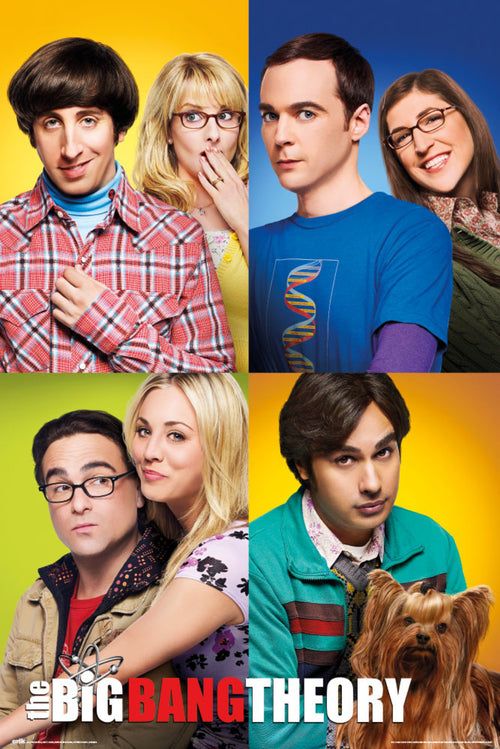 Grupo Erik GPE5328 The Big Bang Theory Mosaico Poster 61X91,5cm | Yourdecoration.at