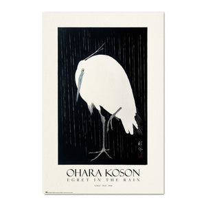 Grupo Erik Gpe5555 Poster Egret In The Rain | Yourdecoration.at