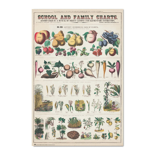 Grupo Erik Gpe5603 Poster Fruits And Vegetables | Yourdecoration.at