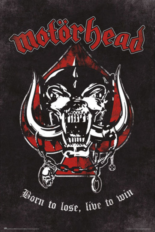 grupo erik gpe5711 motorhead born to lose poster 61x91-5 cm | Yourdecoration.at