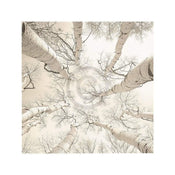 Adam Brock Silver Birch Kunstdruck 51x51cm | Yourdecoration.de