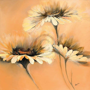 Elena Filatov Apricot Summer I Kunstdruck 70x70cm | Yourdecoration.de