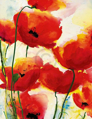 Heidi Reil Roter Mohn Kunstdruck 70x90cm | Yourdecoration.de