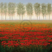 Park Morning Mist Kunstdruck 68x68cm | Yourdecoration.de