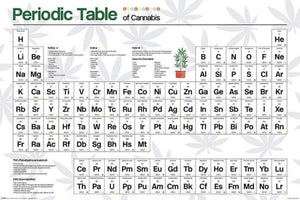 Pyramid Periodic Table Cannabis Poster 61x91,5cm | Yourdecoration.de