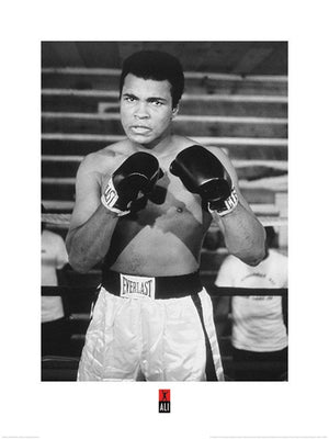 Pyramid Muhammad Ali Pose Kunstdruck 60x80cm | Yourdecoration.de