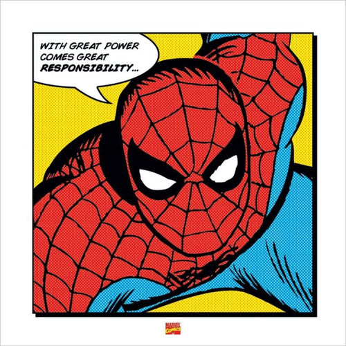 Pyramid Spider Man With Great Power Kunstdruck 40x40cm | Yourdecoration.de