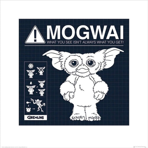 Pyramid Gremlins Mogwai Rules Kunstdruck 40x40cm | Yourdecoration.de