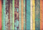 Wizard+Genius Colored Wooden Wall Fototapete 366x254cm | Yourdecoration.de