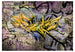 Fototapete - Stunning Graffiti - Vliestapete