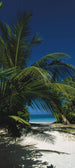 Komar To the Beach Fototapete 97x220cm | Yourdecoration.de