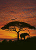 Komar African Sunset Fototapete National Geographic 194x270cm | Yourdecoration.de