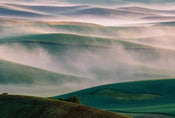 Wizard+Genius Foggy Hills I Vlies Fototapete 384x260cm 8 bahnen | Yourdecoration.de