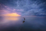 Wizard+Genius Wetland Sunrise Vlies Fototapete 384x260cm 8 bahnen | Yourdecoration.de