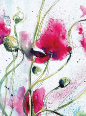 Wizard+Genius Poppies Watercolour Vlies Fototapete 192x260cm 4 bahnen | Yourdecoration.de