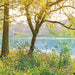 Komar Spring Lake Fototapete National Geographic 368x254cm | Yourdecoration.de