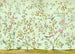 Komar Oiseaux du Paradis Vlies Fototapete 350x250cm 7 bahnen | Yourdecoration.at