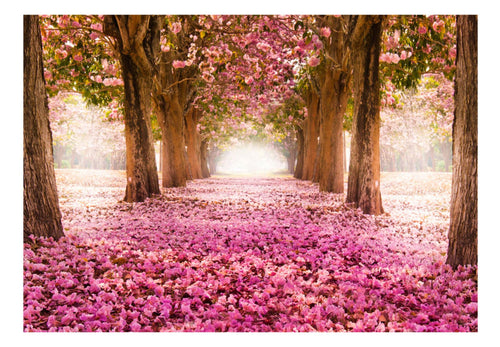 Fototapete - Pink Grove - Vliestapete