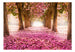 Fototapete - Pink Grove - Vliestapete