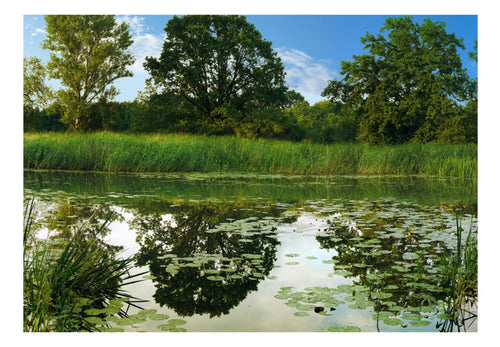 Fototapete - The Magic Pond - Vliestapete