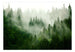 Fototapete - Mountain Forest Green - Vliestapete