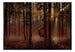 Fototapete - Mystical Forest First Variant - Vliestapete