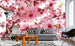 Dimex Apple Blossom Fototapete 375x250cm 5 Bahnen Sfeer | Yourdecoration.nl