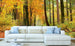 Dimex Autumn Forest Fototapete 375x250cm 5 Bahnen Sfeer | Yourdecoration.nl