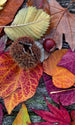 Dimex Autumn Leaves Fototapete 150x250cm 2 Bahnen | Yourdecoration.de