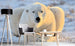 Dimex Bear Fototapete 375x250cm 5 Bahnen Sfeer | Yourdecoration.nl