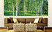 Dimex Birch Grow Fototapete 375x150cm 5 Bahnen Sfeer | Yourdecoration.nl