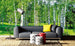 Dimex Birch Grow Fototapete 375x250cm 5 Bahnen Sfeer | Yourdecoration.nl