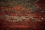 Dimex Brick Wall Fototapete 375x250cm 5 Bahnen | Yourdecoration.de