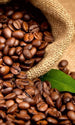 Dimex Coffee beans Fototapete 150x250cm 2 Bahnen | Yourdecoration.de