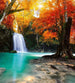 Dimex Deep Forest Waterfall Fototapete 225x250cm 3 Bahnen | Yourdecoration.de