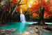 Dimex Deep Forest Waterfall Fototapete 375x250cm 5 Bahnen | Yourdecoration.de