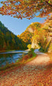 Dimex Dunajec River Fototapete 150x250cm 2 Bahnen | Yourdecoration.de