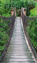 Dimex Footbridge Fototapete 150x250cm 2 Bahnen | Yourdecoration.de